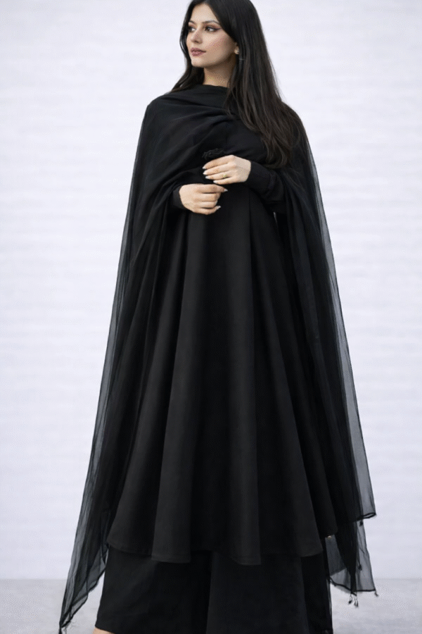 Maroon Elegant Anarkali